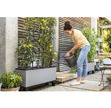 Žena zalieva jablone v kvetináči na terase