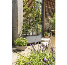 Terasa s osadeným kvetináčom a mrežou