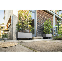 Scéna s dvoma sivými kvetináčmi s mrežami pred domom.