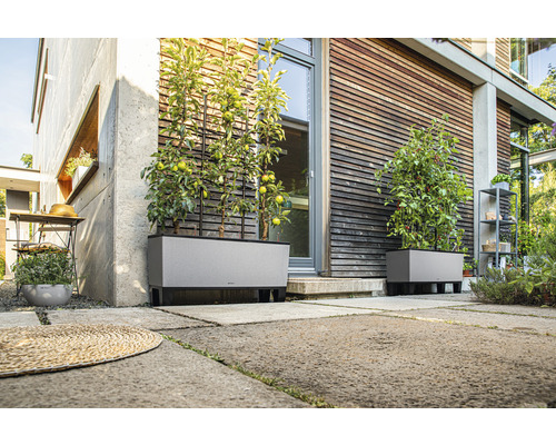 Scéna s dvoma sivými kvetináčmi s mrežami pred domom.