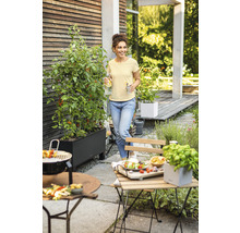 Záhradná scéna so ženou, grilom, záhradným nábytkom a vyvýšeným záhonom s rastlinami paradajok.