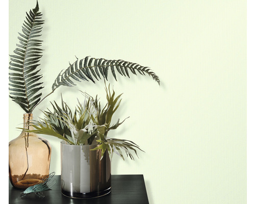 Dekoratívne izbové rastliny vo vázach na stole