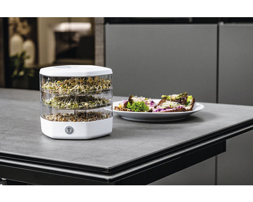 Klíčiaca nádoba s rôznymi klíčkami na kuchynskej linke