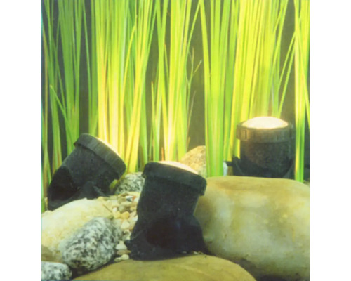 Dekorácia akvária s kameňmi a rastlinami