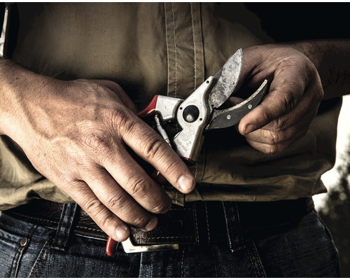 Osoba drží v rukách záhradné nožnice.
