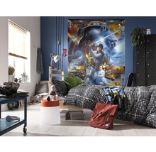 Fototapeta papierová 4-441 Disney Edition 2 Star Wars Luke Skywalker 4-dielna 184x254 cm