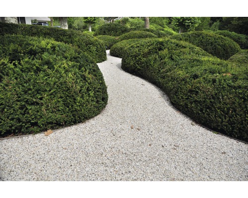 Záhradný chodník so štrkom a živými plotmi