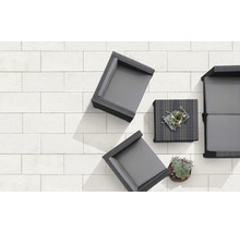 Betónová dlažba Lusso Tivoli 60 x 30 x 4,5 cm krémovo biela