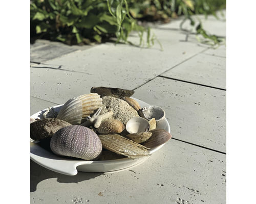 Dekoratívne mušle a hviezdice v miske na kamennom povrchu.