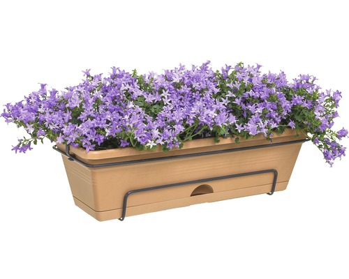 Kvetináč so zvončekmi fialovej farby na čiernom držiaku