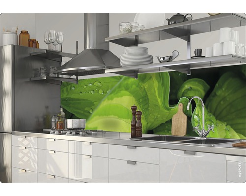 Kuchynská scéna s drezom, varnou doskou, digestorom a kuchynskou zástenou s motívom rastlín