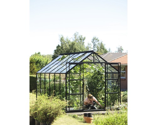 Skleník s rastlinami a osobou v záhrade.