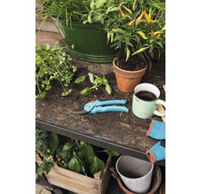 Záhradná scéna s bylinkami, kvetináčmi, záhradníckymi nožnicami a záhradnými rukavicami na záhradnom stole.