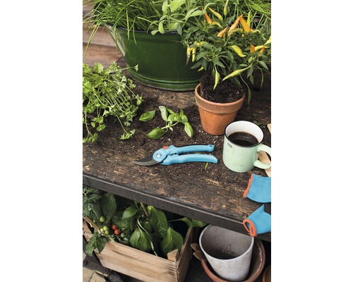 Záhradná scéna s bylinkami, kvetináčmi, záhradníckymi nožnicami a záhradnými rukavicami na záhradnom stole.