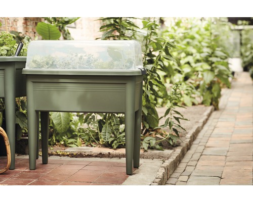 Vyvýšený záhon s priehľadným krytom v záhrade