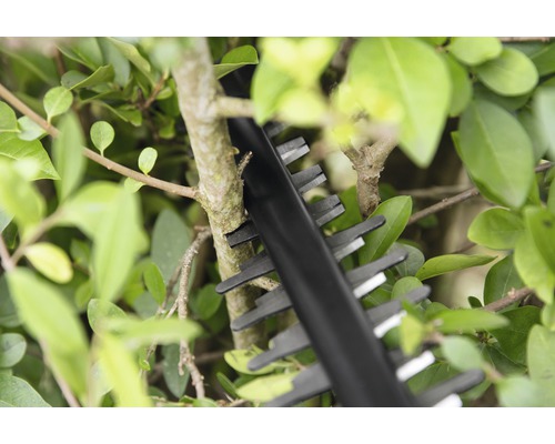 Detailný záber nožníc na živý plot strihajúcich živý plot.