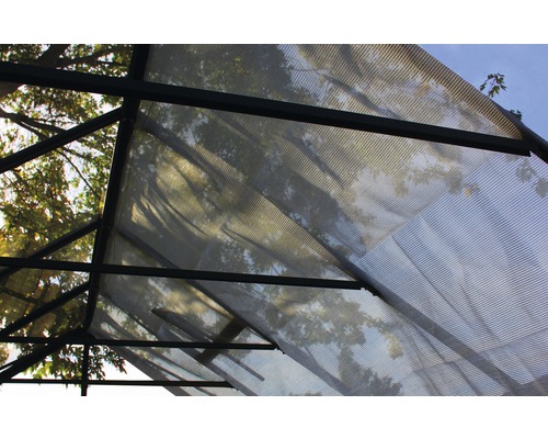 Detailný pohľad na strechu skleníka s kovovým rámom a priesvitnými panelmi