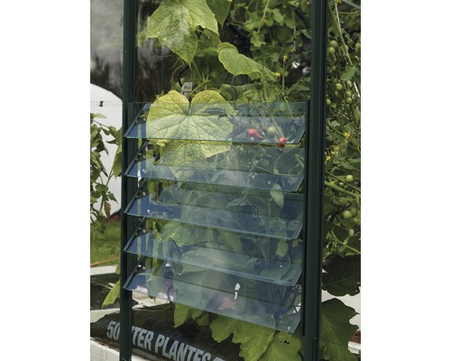 Okno Vitavia lamelové sklenené 3 mm 45x61 cm zelené