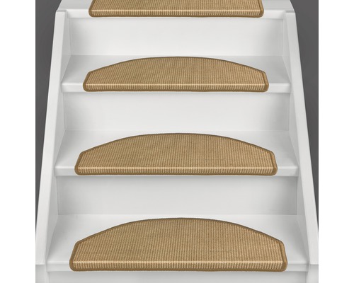 Schodisko s kobercovými stupnicami