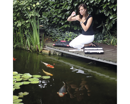 Žena ošetruje kapry koi v rybníku pomocou liekov