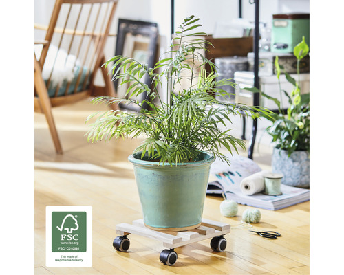 Izbová rastlina v kvetináči na podstavci s kolieskami a pečaťou FSC