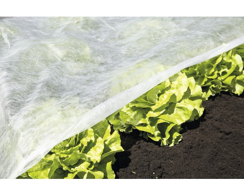 Zeleninový záhon s ochrannou textíliou