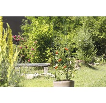 Opora na paradajky FloraSelf 150 x 30 cm zelená-thumb-2