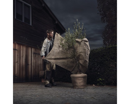 Muž zakrýva rastlinu v kvetináči zimnou ochranou netkanou textíliou.