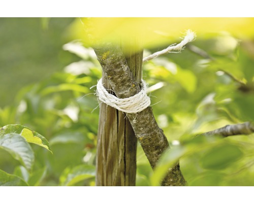 Podpera stromu s viazacím materiálom