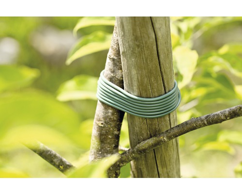 Páska na upevnenie stromu k drevenému stĺpiku