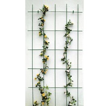 Mriežka na popínavé rastliny 75 x 150 cm zelená-thumb-0