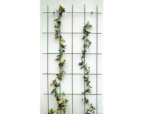 Mriežka na popínavé rastliny 75 x 150 cm zelená