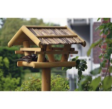 Kŕmidlo pre vtáky s jedlom a vrabcom