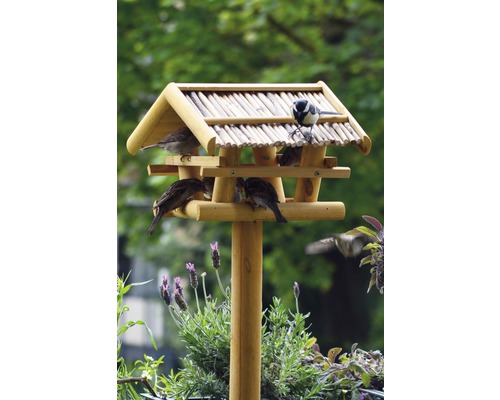 Drevený vtáčí domček s niekoľkými vtákmi