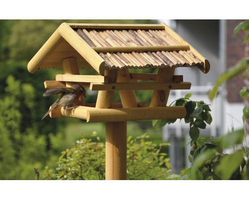 Drevené krmítko pre vtáky s vtákom