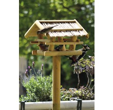 Kŕmidlo pre vtáky s rôznymi vtákmi na stojane