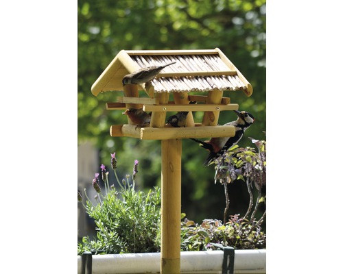 Kŕmidlo pre vtáky s rôznymi vtákmi na stojane