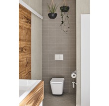 Dizajn kúpeľne s toaletou, obklady a zavesenými rastlinami