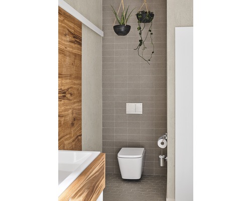 Dizajn kúpeľne s toaletou, obklady a zavesenými rastlinami