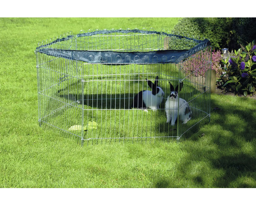 Kovová vonkajšia ohrádka s dvoma králikmi v záhrade