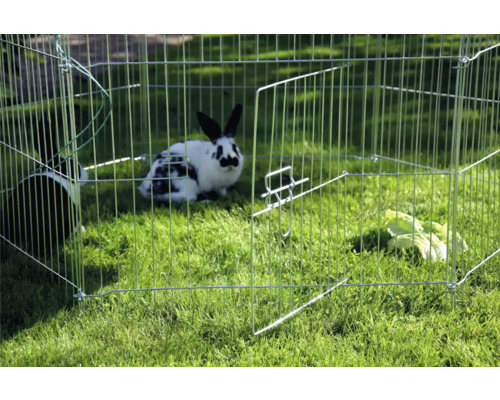 Králiky vo vonkajšom výbehu na trávniku