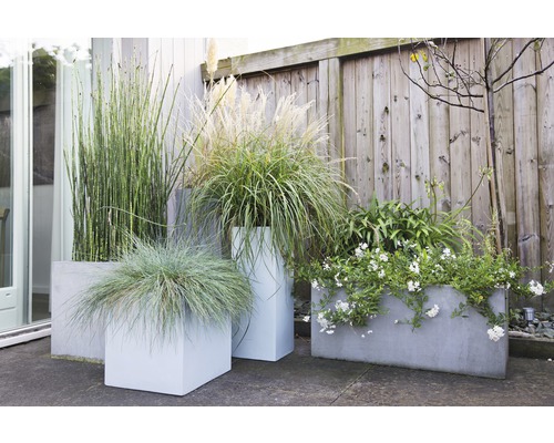 Rôzne rastliny v kvetináčoch pred dreveným plotom.