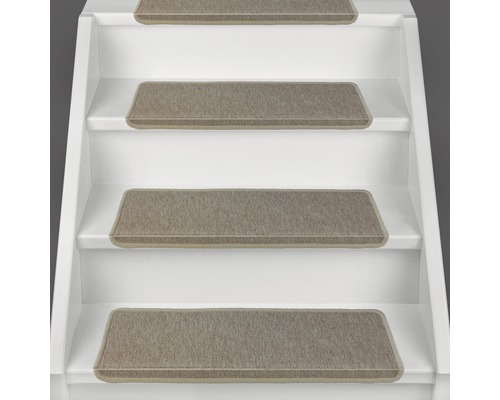 Schodisko s kobercovými stupnicami