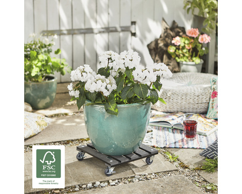 Kvetináč s rastlinou na kolieskach vonku s pečaťou FSC