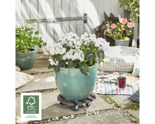 Kvetináč s bielymi kvetmi na pojazdnom vozíku pre rastliny vonku s pečaťou FSC