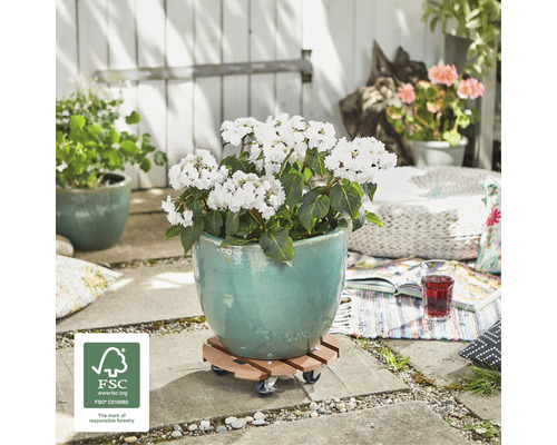 Scéna s kvetináčom na kolieskovej doske s pečaťou FSC v záhrade.