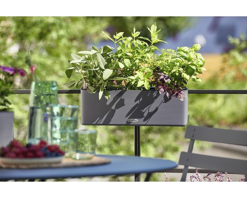 Balkónová scéna s osadeným kvetináčom na zábradlí