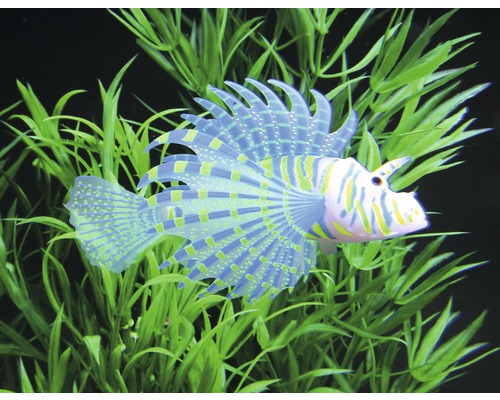 Dekoratívny perutýn do akvárií