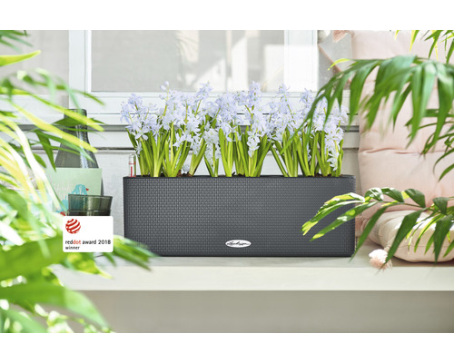 Obdĺžnikový kvetináč s kvitnúcimi hyacintmi na okennom parapete