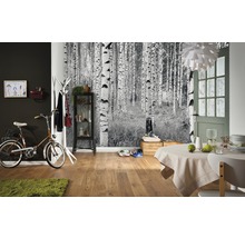 Fototapeta vliesová XXL4-023 Woods 4-dielna 368x248 cm